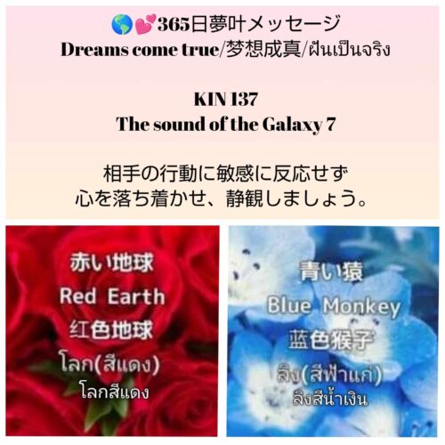 received_904679461429582