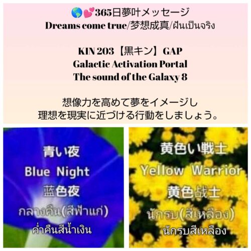 received_9455663271145321