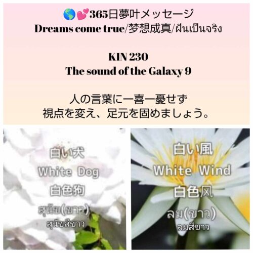 received_8600493293384467