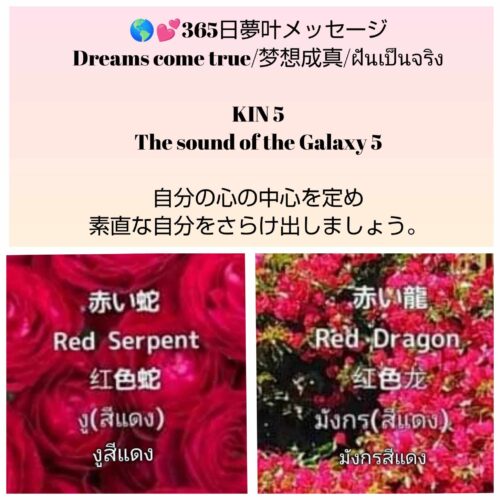 received_1768523200729690