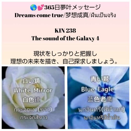 received_2678147662385507