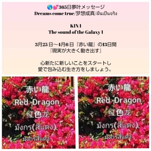 received_3061233464042767