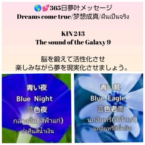 received_3825504071093770