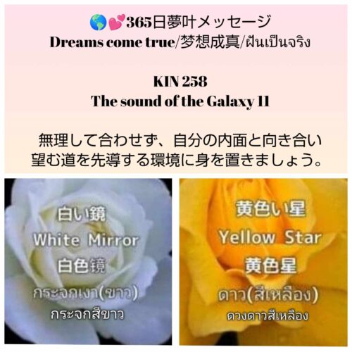 received_531594842902000