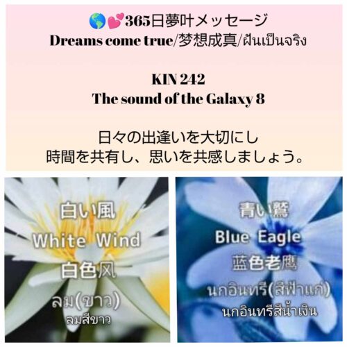 received_657418880301485