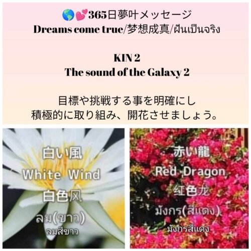 received_676985014887798