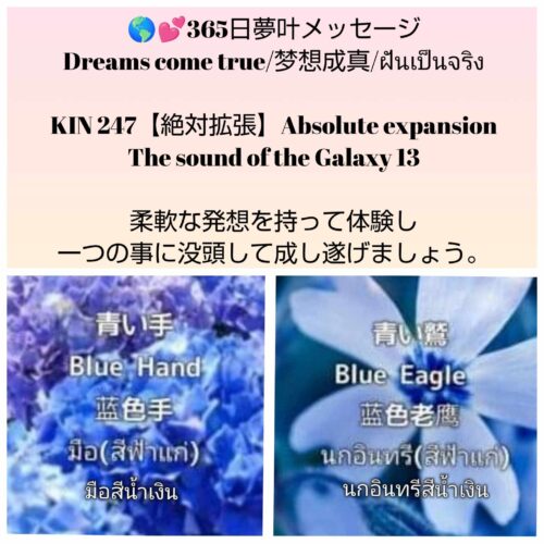 received_988055339925902