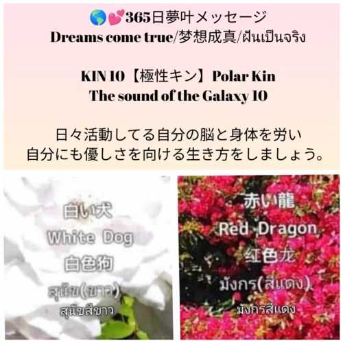 photocollagemaker_20250403_124733685