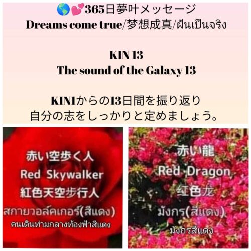 received_9617863268306322