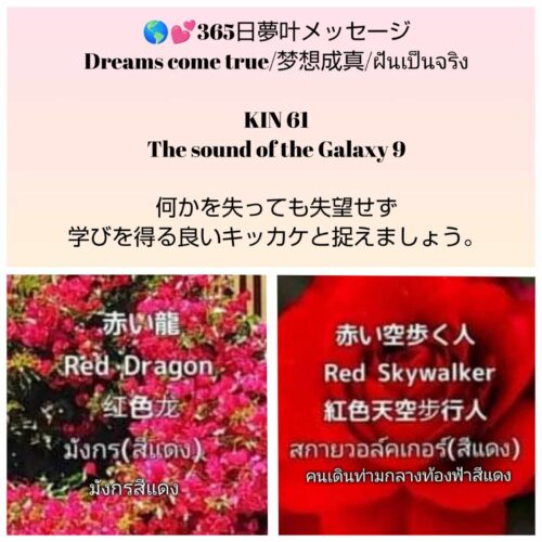 received_479596714963347-1600x1600