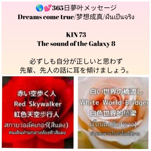 photocollagemaker_20250605_121631731