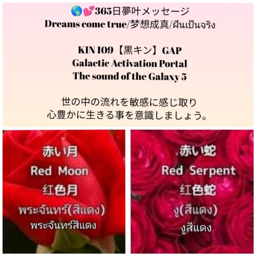 photocollagemaker_20250711_102127196