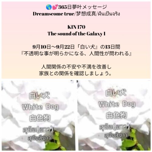 photocollagemaker_20250910_120002205