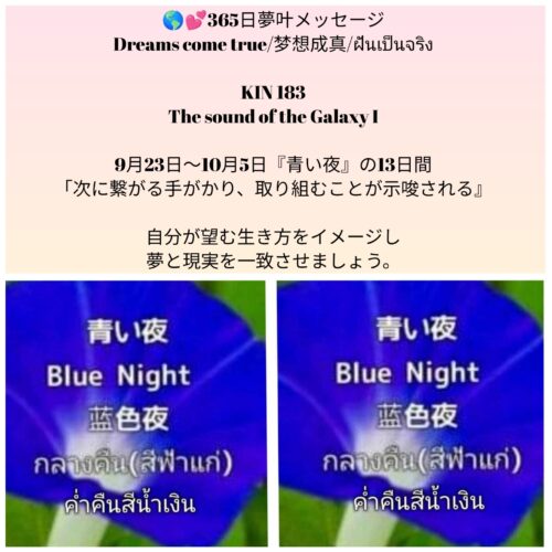 photocollagemaker_20250923_124157341