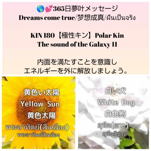 received_1753348162157047-1600x1600