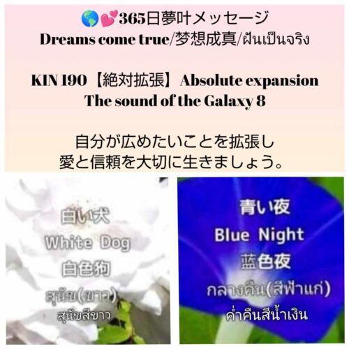 received_622551606904123-1600x1600