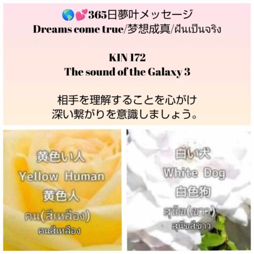 received_934764525293781-1600x1600