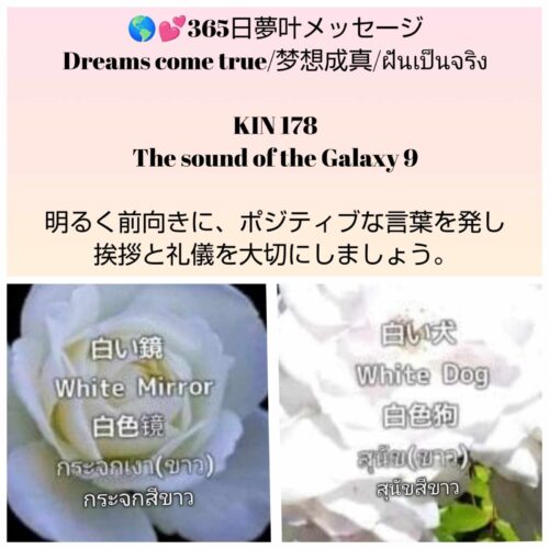 received_979176180693312-1600x1600