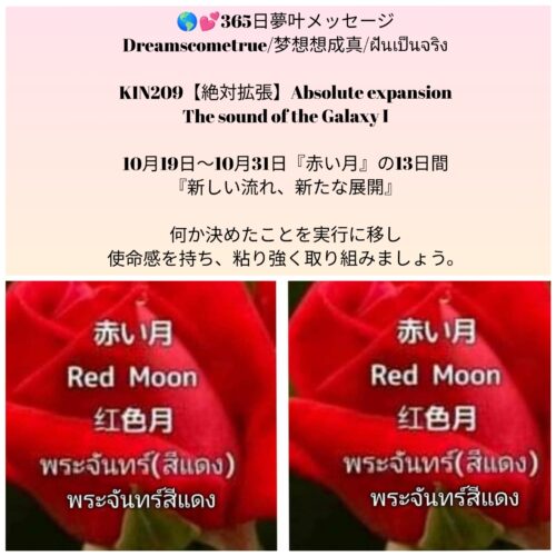 photocollagemaker_20251018_141510920