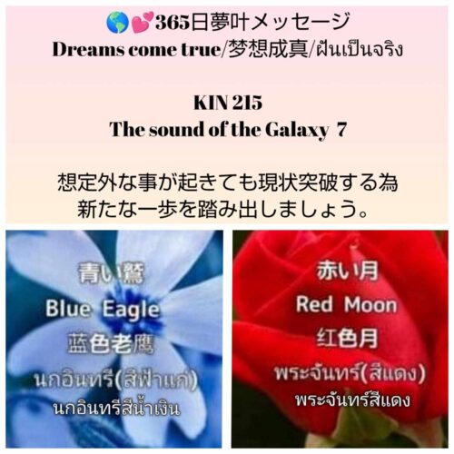 received_2312420932461473-1600x1600