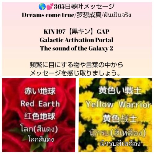 received_582800817915905-1600x1600