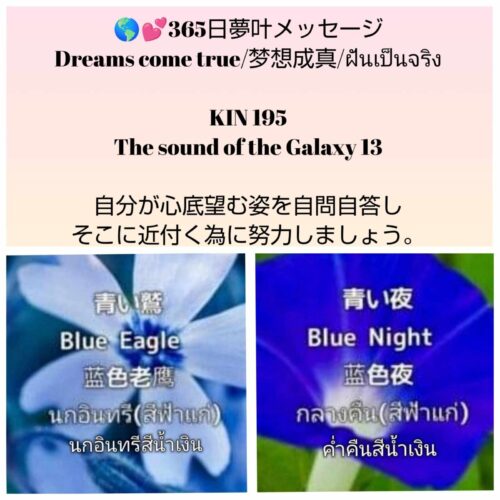 received_597083636587869-1600x1600