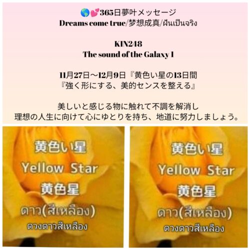 photocollagemaker_20251127_143008264