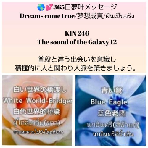 received_1303191500979524-500x500-1