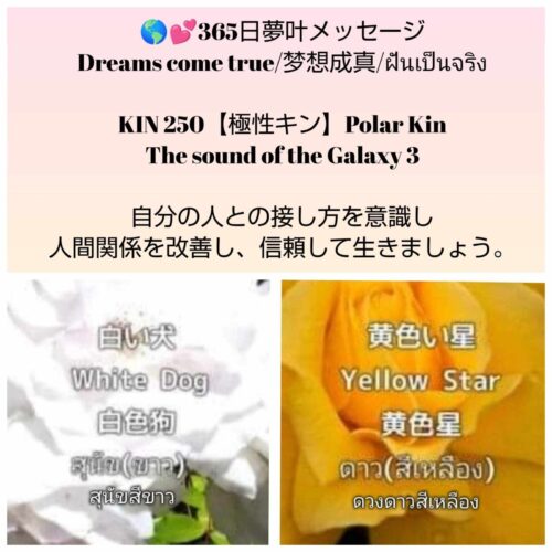 received_1618782878841703-1600x1600