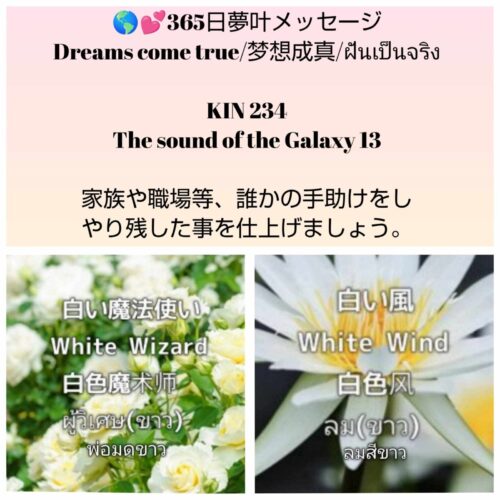 received_1670436860349797-1600x1600