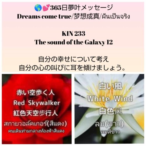 received_2082038102248460-1600x1600