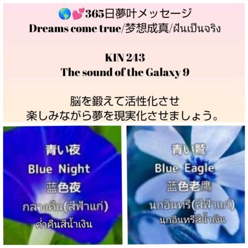 received_3825504071093770-1600x1600