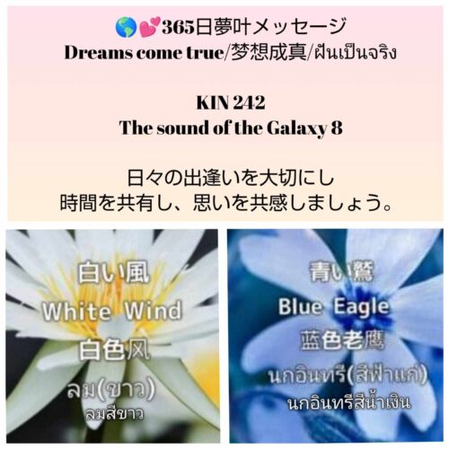 received_657418880301485-1600x1600