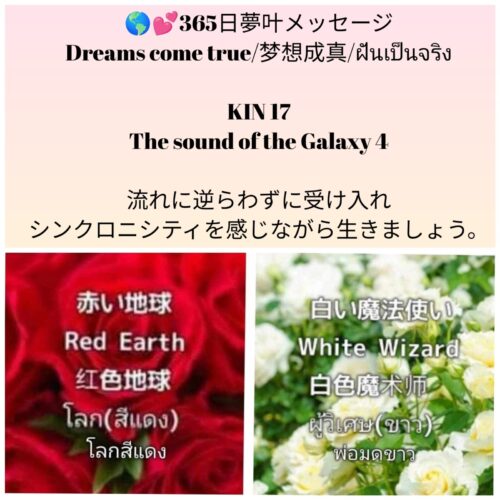 photocollagemaker_20250411_093228014-1600x1600