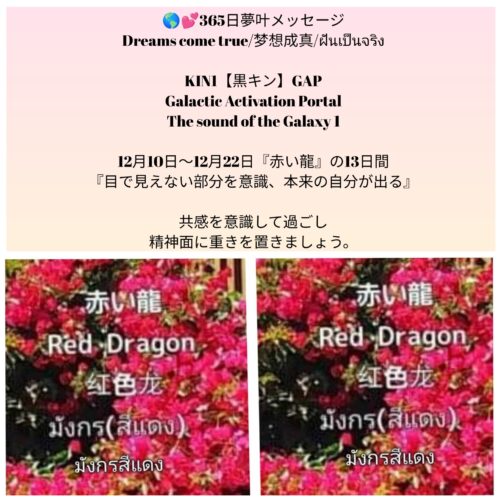 photocollagemaker_20251210_100556576