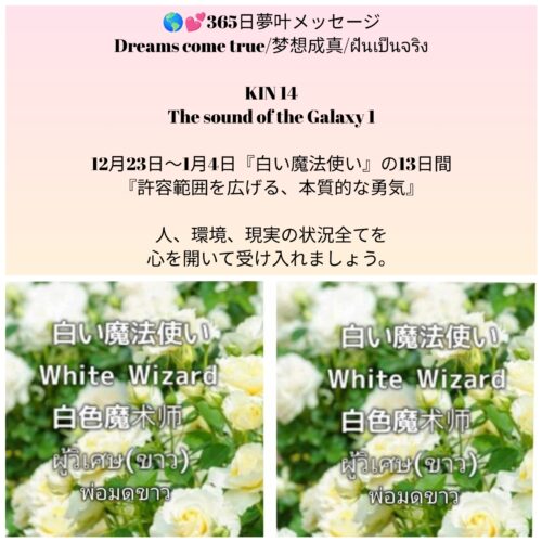 photocollagemaker_20251223_151236076