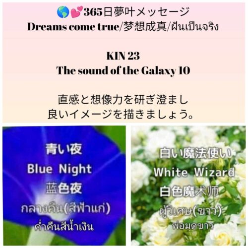 received_1213262400155478-1600x1600