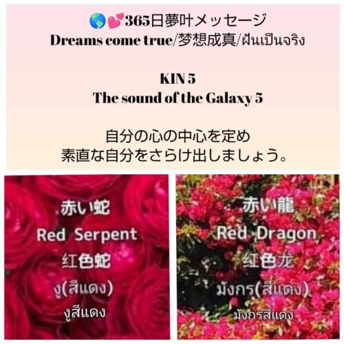 received_1768523200729690-1600x1600