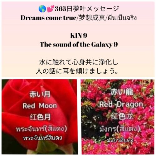 received_2946073418889571-1600x1600