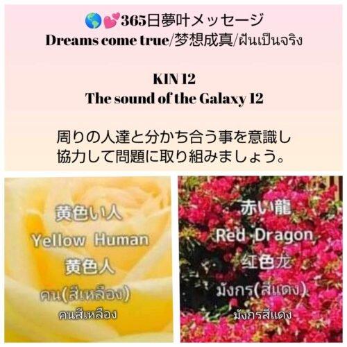 received_9516226878464845-1