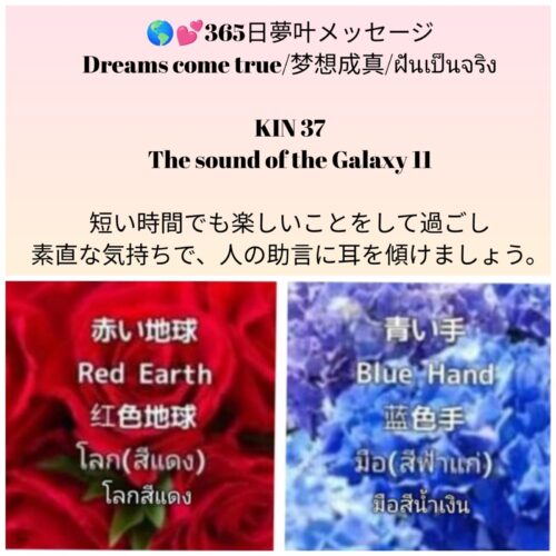 photocollagemaker_20250430_075722959-1600x1600