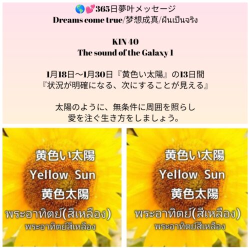 photocollagemaker_20260118_192847374