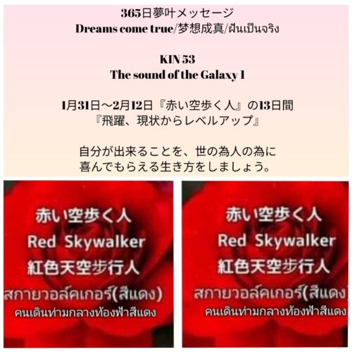 photocollagemaker_20260201_150907495