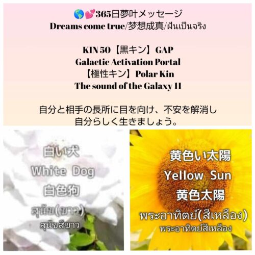 received_1772816583252809-500x500-1-1