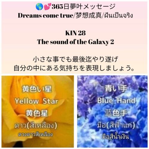 received_482884064816950-1600x1600