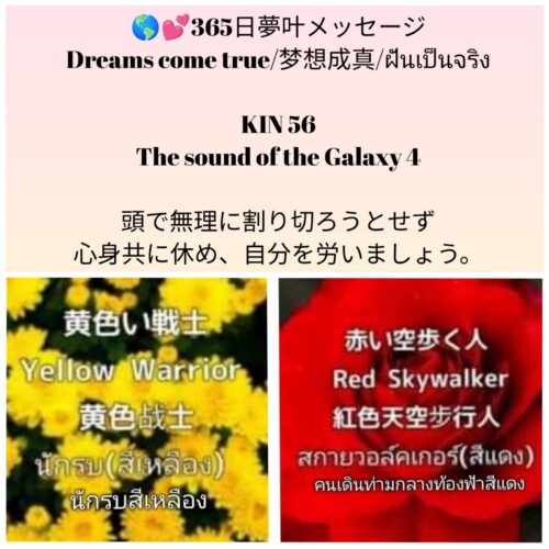 photocollagemaker_20250519_115259837-1600x1600