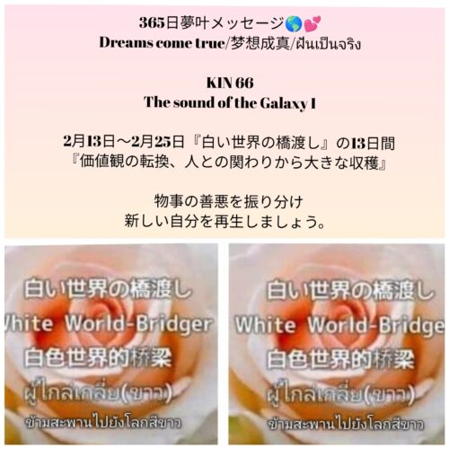 photocollagemaker_20260213_114225709