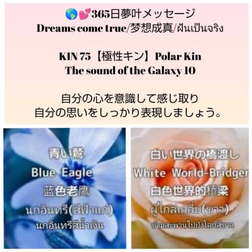 received_1190463108677423-1600x1600-1