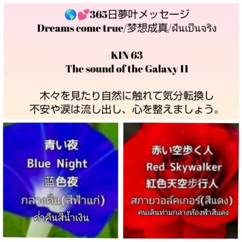 received_1683964492438551-1600x1600-1