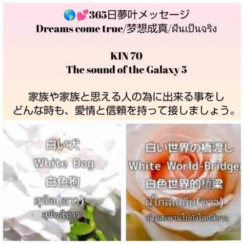 received_552452710644293-1600x1600-1